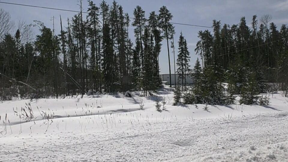 Worker at Timmins scrap yard killed