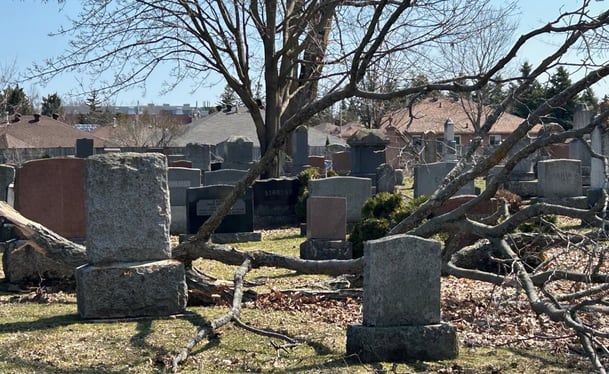 Orillia cemetery closed to visitors after ice storm