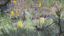 Homicide investigation underway after body found in Pickering by highway