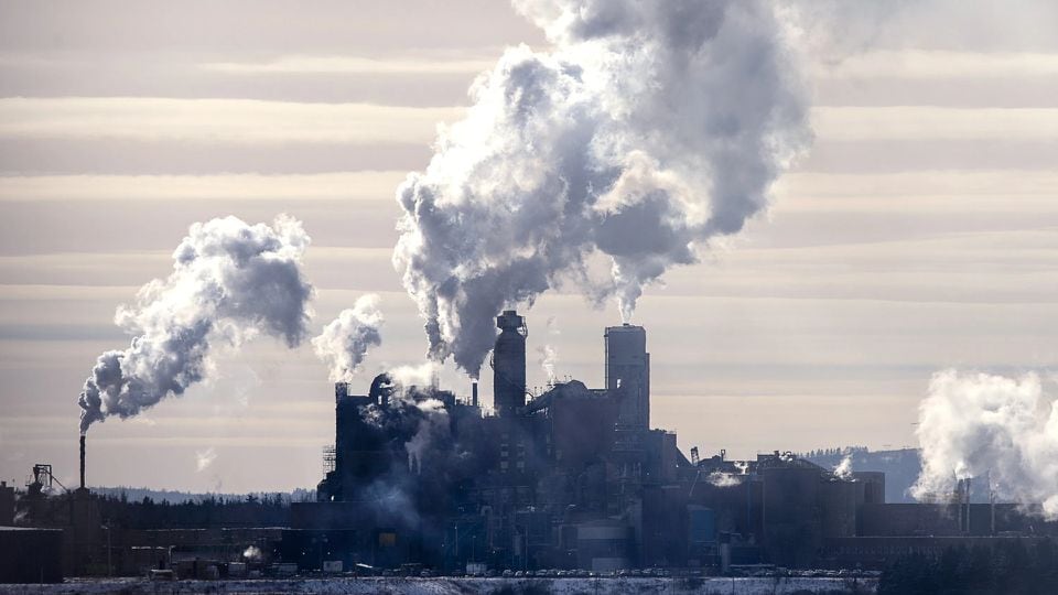 Northern Pulp to sell off assets