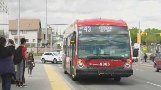 Accused in Calgary bus assault in court
