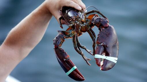 The latest on seafood tariffs
