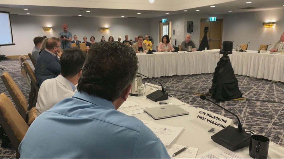 Former Chiarelli staffers speak out about Ontario bill on ousting councillors