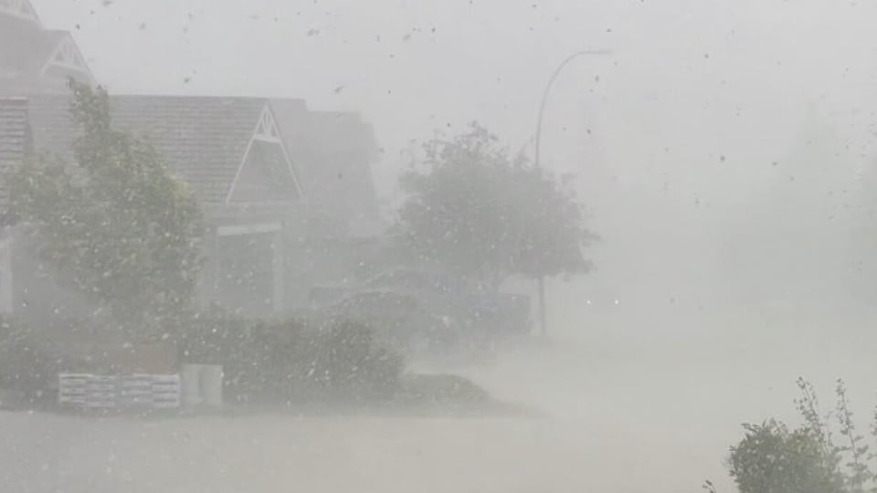 Calgary pummelled by severe storm Sunday
