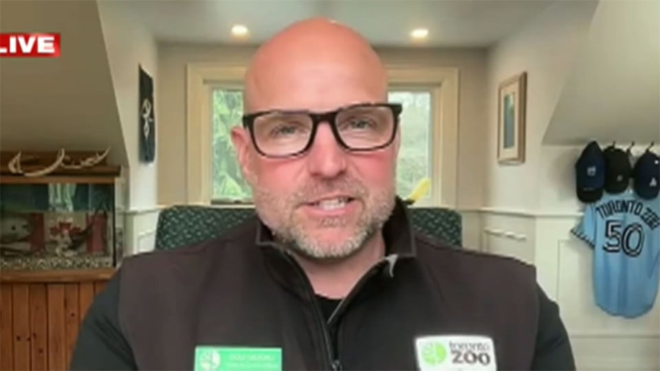Toronto Zoo CEO 'very concerned' about Bill 5 and the future of wildlife protection in Ontario