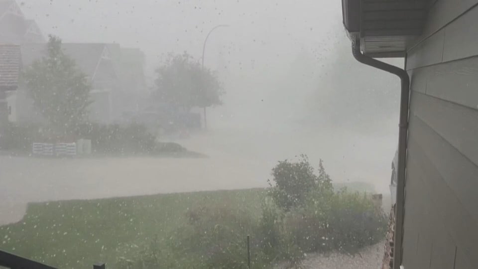 Storm tears up trees, gardens; leaves cars, houses mostly unscathed