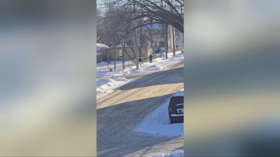 Brazen Winnipeg shooting caught on camera