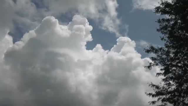 Cloudy, windy through the afternoon