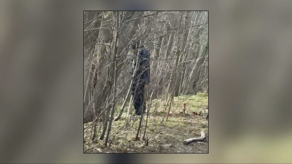 Arrest made in ‘unsettling incident’ in Collingwood