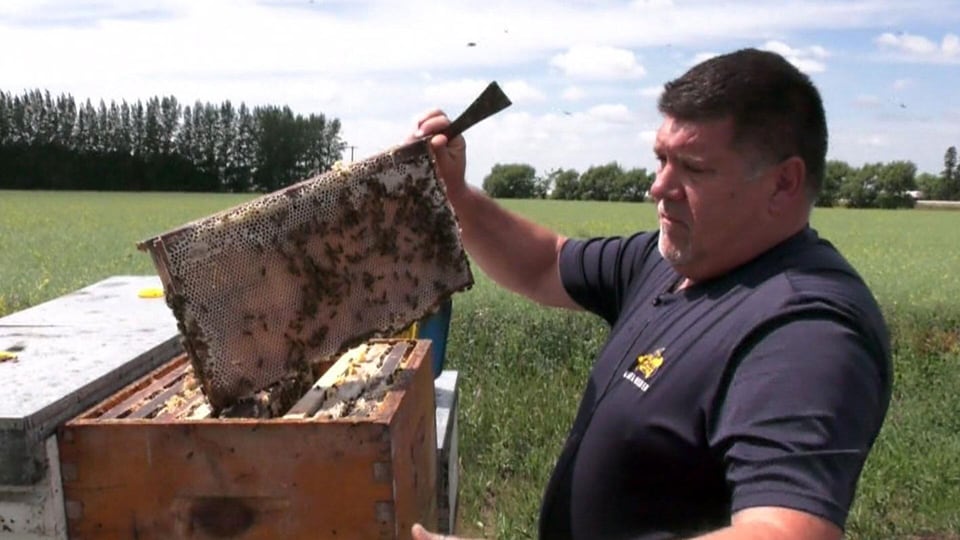 Honey producers concerned about wildfire smoke