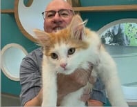 Here's the Regina Humane Society's Pet of the Week for July 3