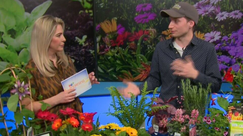 Good to Grow: Your questions answered!