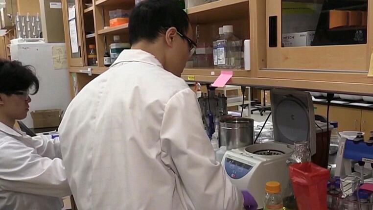 Western expands initiatives to bring researchers to London