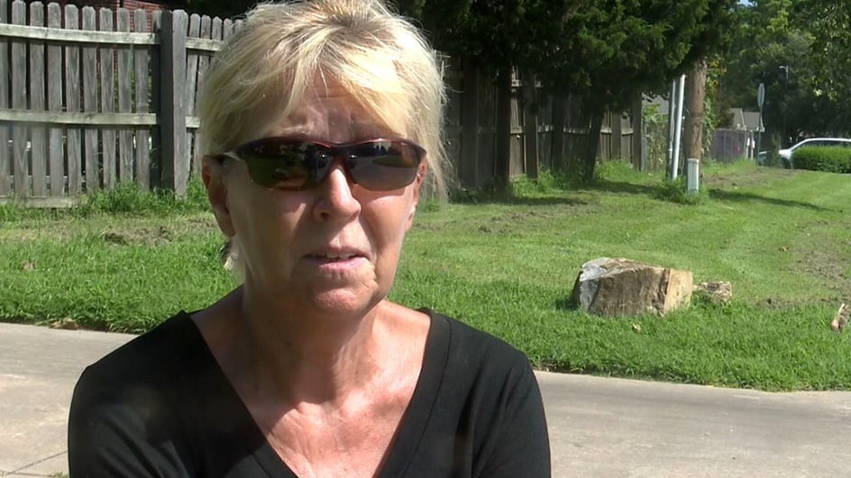 ‘I just started screaming’: U.S. woman discovers cat cut in half in her front yard