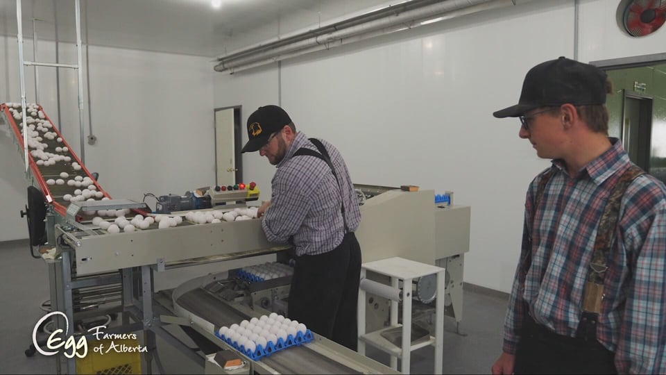 Sponsored: Egg Farmers of Alberta