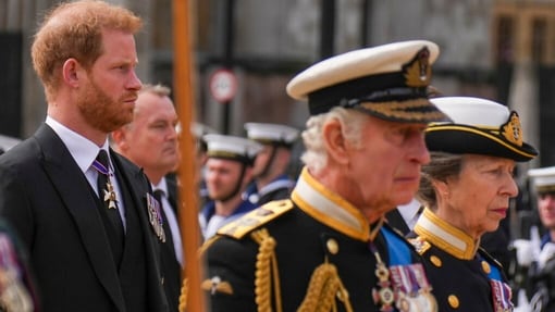 Possible meeting in works for Prince Harry, King Charles amid leaked photo scandal