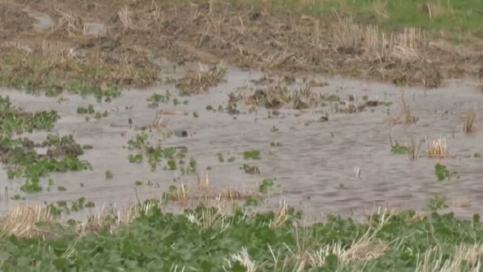 Lethbridge County downgrades to fire restriction