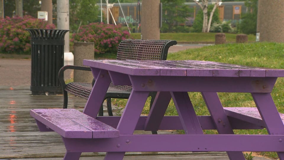 Most of mainland N.S. under special weather statement