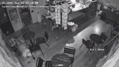 Thieves tunnel through candy shop to steal US$2M in jewelry store heist