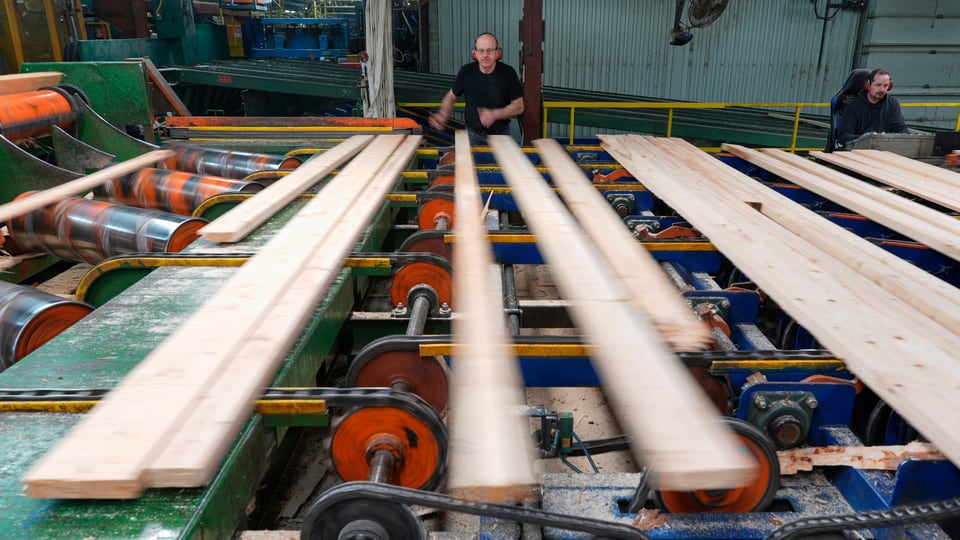 U.S. increases duties on Canadian softwood lumber amidst trade war