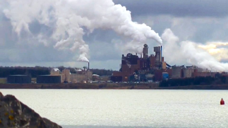 Northern Pulp is selling off its assets