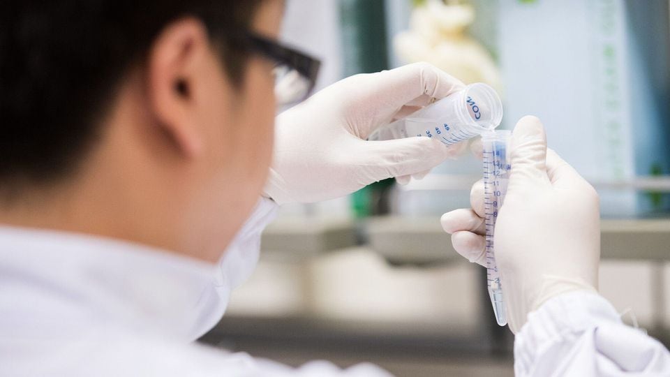 Hot picks in the biotech sector