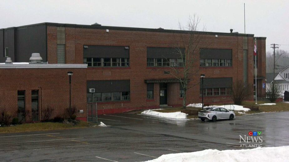 13 bats found flying around New Brunswick school