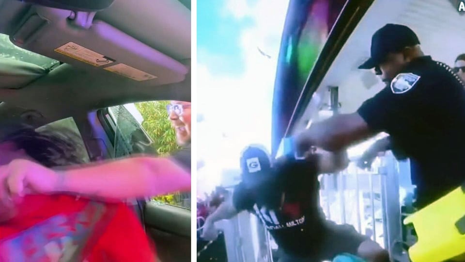 Officer who punched driver in viral arrest video also had use of force complaint last year