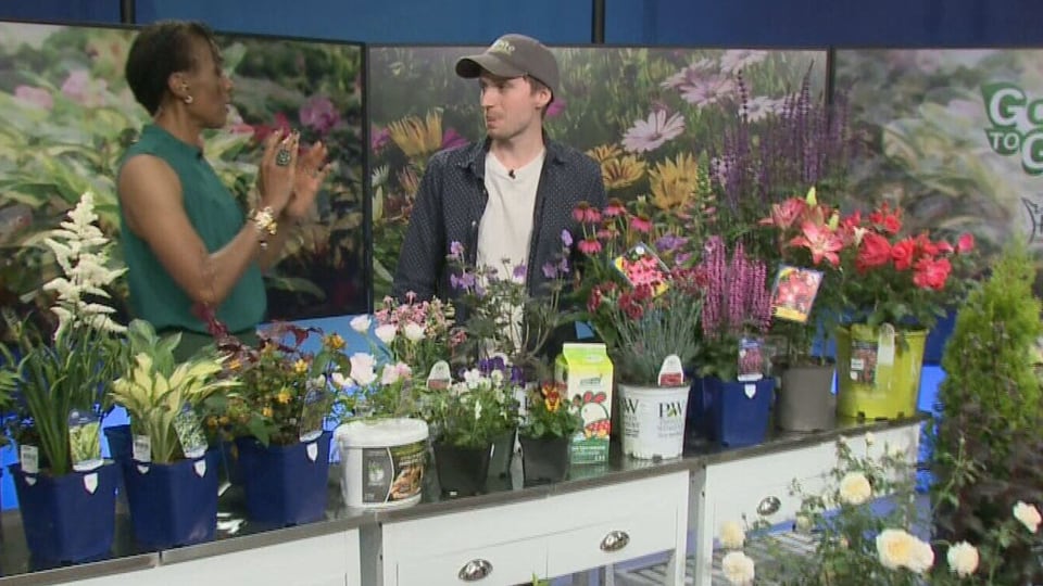 Good to Grow: Your gardening questions answered