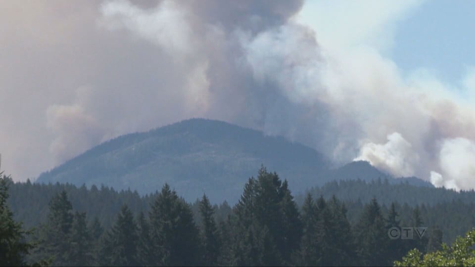 Wildfire forces evacuations near Port Alberni, B.C.