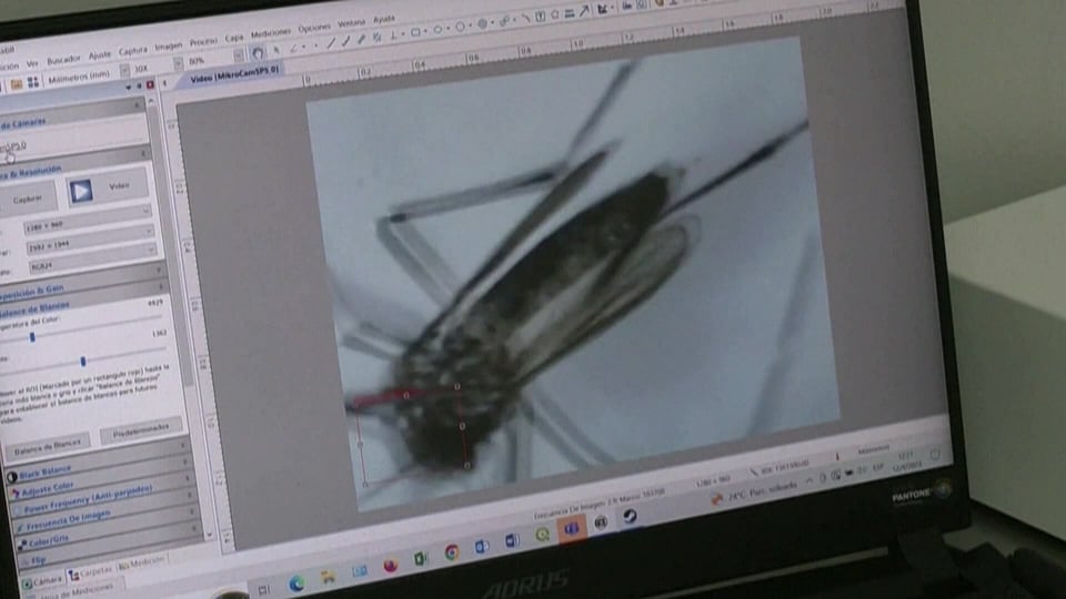 West Nile virus confirmed, Sudbury health unit says