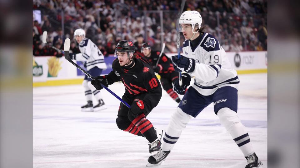 Wildcats lose to Rimouski in Game 4 of QMJHL final