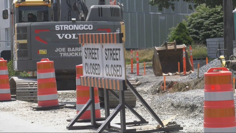 Halifax pet store negatively impacted by ongoing construction