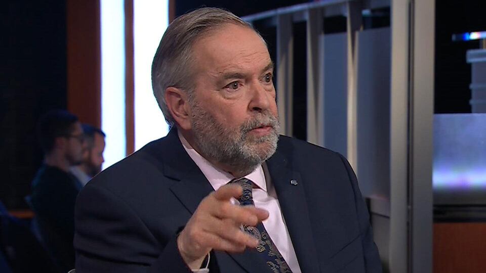 'Smart to pull the Band Aid off': Mulcair on Singh's resignation as NDP loses party status