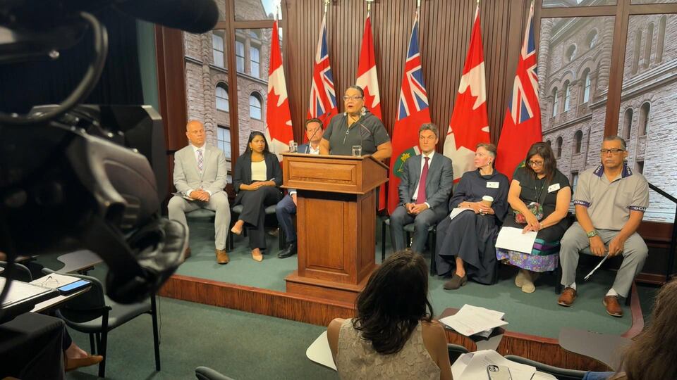 First Nations launch constitutional challenge against mining expenditure bills