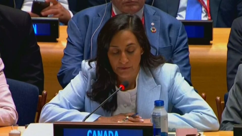 Two-state solution remains only viable path to peace for Israel and Palestine: Anand