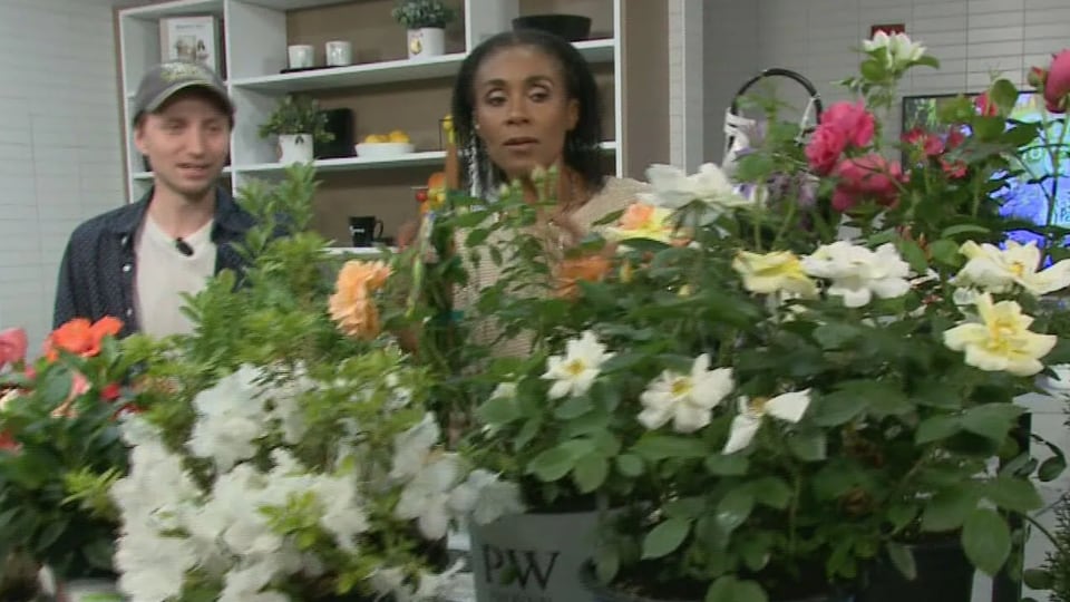 Good to Grow: Your gardening questions answered!