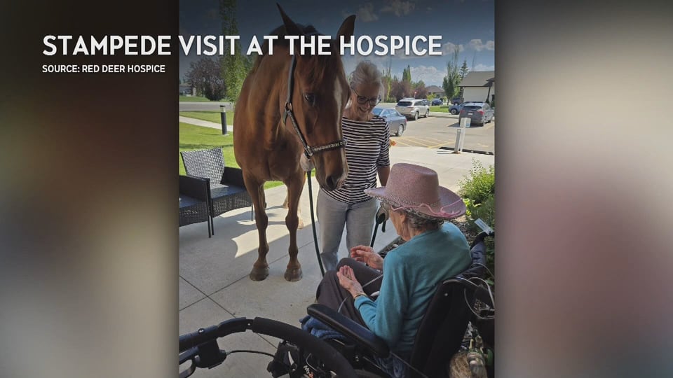 Red Deer News: July 17