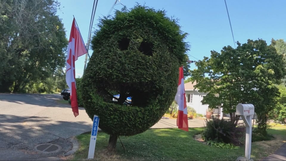 Sawatsky Sign-Off:  Positive pruning
