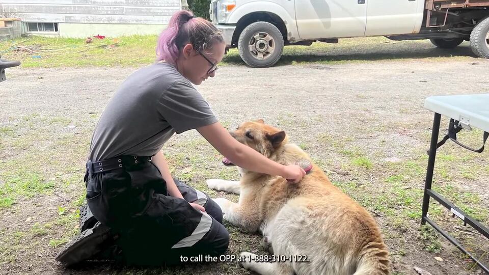 Northern Ont. police search landfill in missing teen case