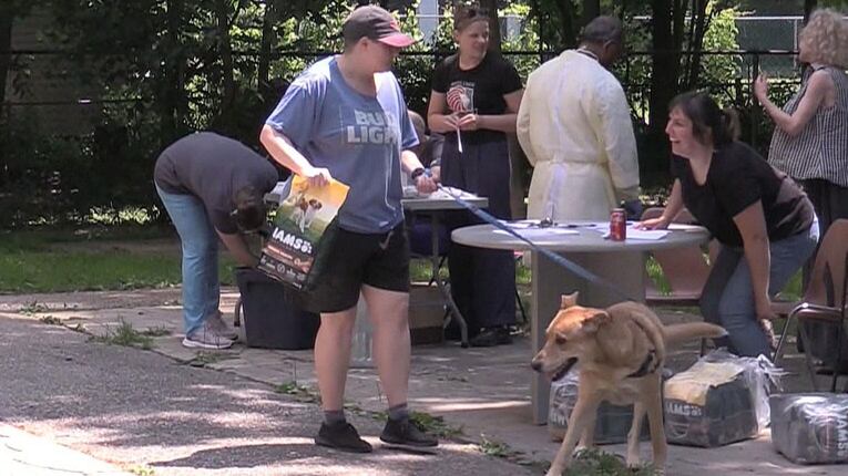 Local veterinarians offer parvovirus vaccines