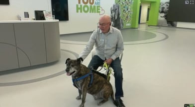 Meet 'Scooter', the latest adorable adoptable from the Regina Humane Society
