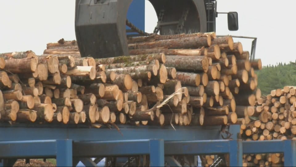 N.S. prioritizing lumber in public buildings