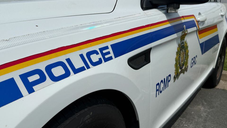 N.S. RCMP kills dog threatening canoeists