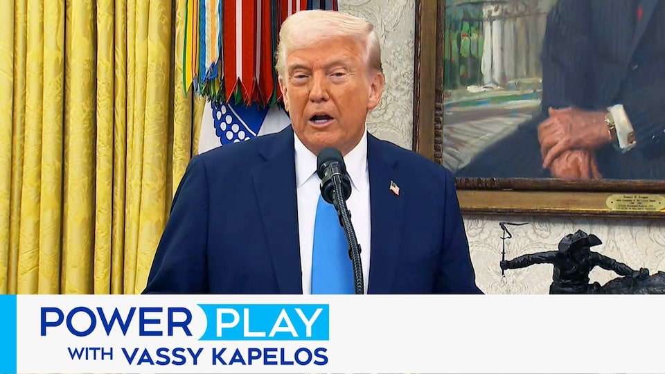 How much progress was made in Trump's 'very good conversation' with Carney?