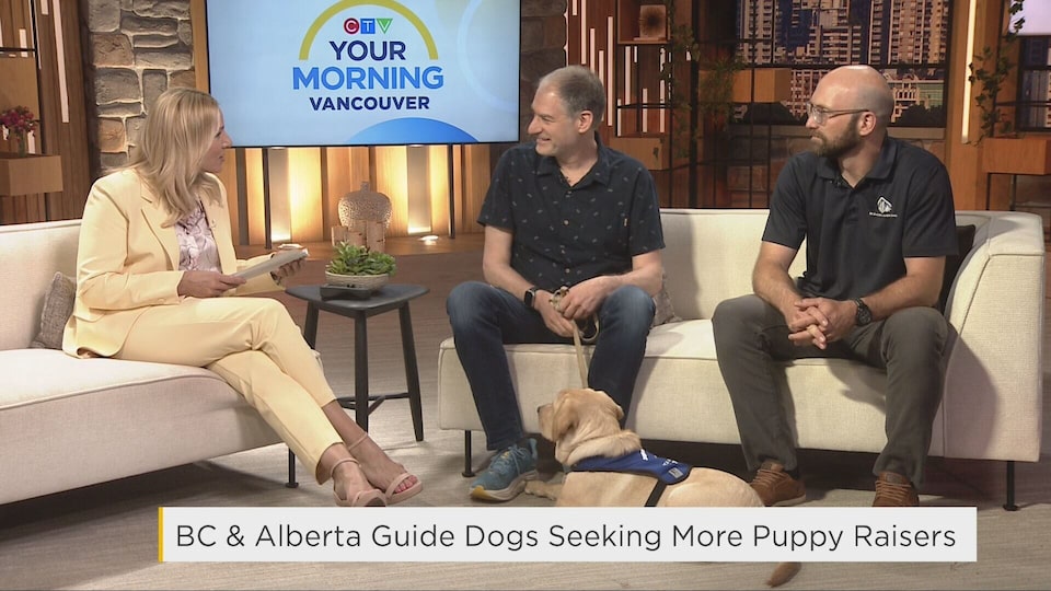 BC and Alberta guide dogs seeking more puppy raisers