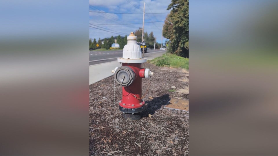 Sawatsky Sign-Off: Fire hydrant fan
