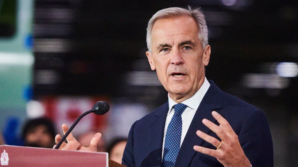 ‘A new era of prosperity’: PM Carney announces new measures for industrial sectors