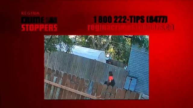 Crime Stoppers: Oct. 1, 2025