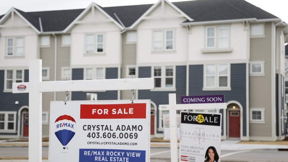 ‘No, I don’t feel like I can buy a home after today’: Young Halifax couple on the federal budget